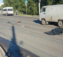 В Туле на улице Рязанской насмерть сбили пенсионерку с собачкой 