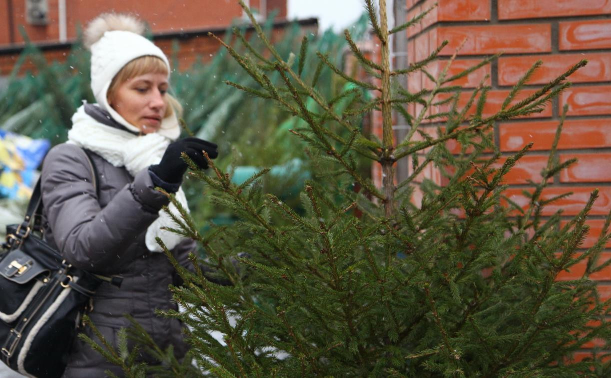 Где в Туле будут работать ёлочные базары: интерактивная карта