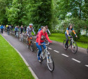 В Туле готовится концепция развития городской велоинфраструктуры