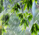 Погода в Туле 16 июля: дождь с грозой и порывистый ветер