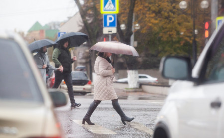 Жизнь Тулы и области