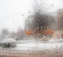 Погода в Туле 23 января: снег с дождём и потепление