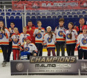 Детская следж-хоккейная команда из Тулы взяла золото международного турнира Malmö Open