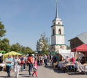 В Тульской области пройдет фестиваль Крапивы