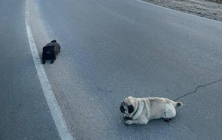 Жизнь Тулы и области