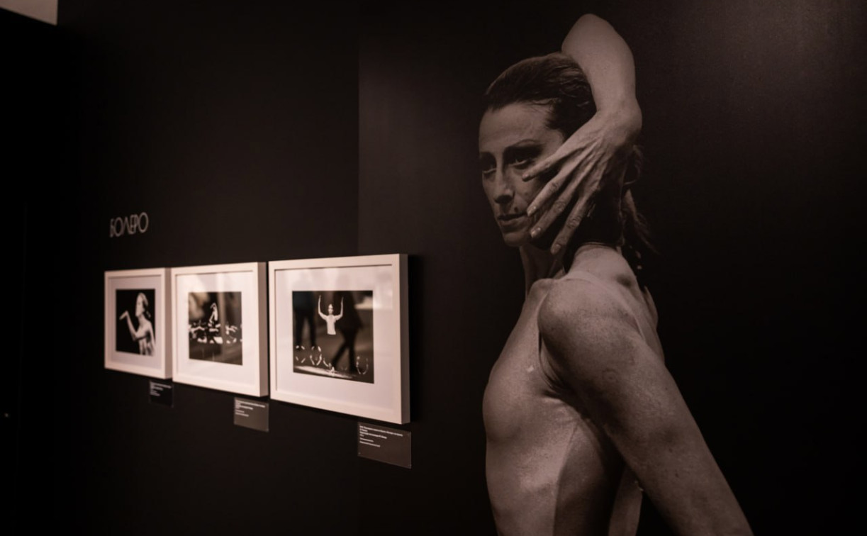 В тульском Фонде искусств открылась выставка, посвященная Майе Плисецкой