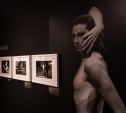 В тульском Фонде искусств открылась выставка, посвященная Майе Плисецкой