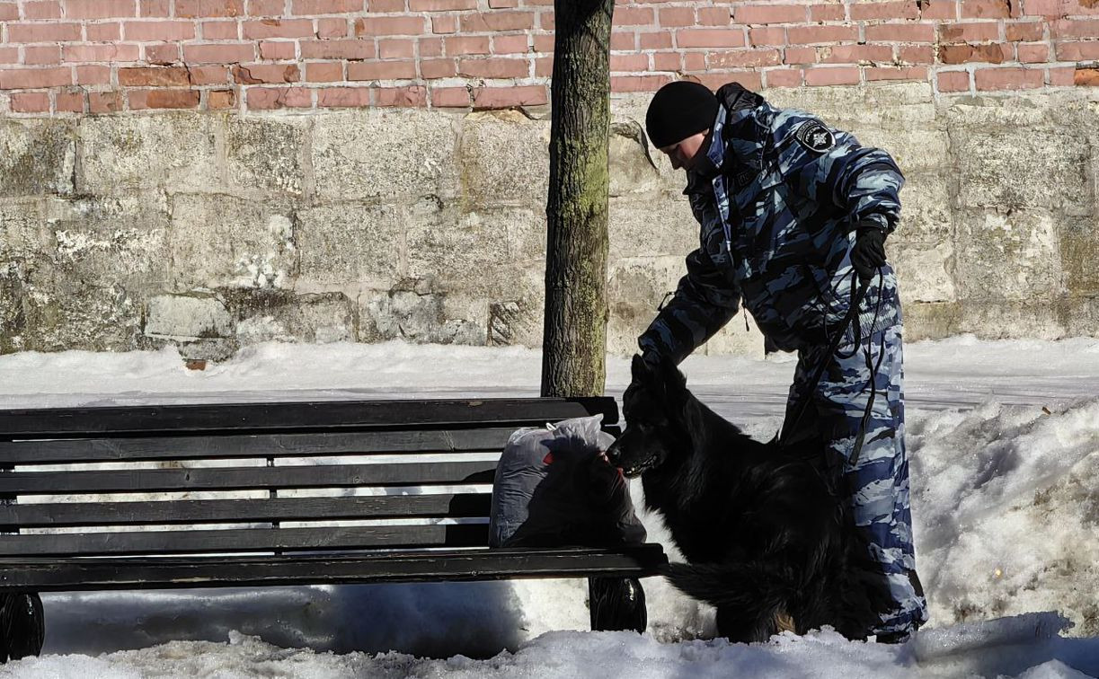 Возле Тульского кремля обнаружен подозрительный пакет. На место вызвали кинолога с собакой