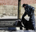 Возле Тульского кремля обнаружен подозрительный пакет. На место вызвали кинолога с собакой