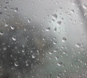 Погода 5 ноября: в Туле пасмурно и дождливо