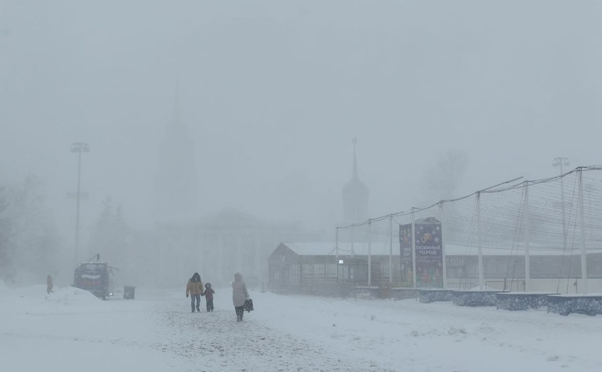 На Центральную Россию обрушатся снегопады и морозы