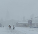 На Центральную Россию обрушатся снегопады и морозы