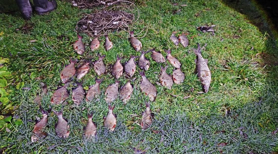 На Оке полиция задержала браконьеров