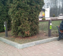 В Белоусовском парке Тулы появились станции зарядки мобильников
