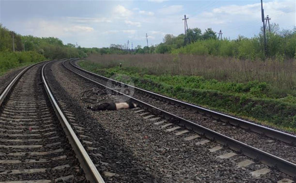 В Богородицком районе поезд сбил велосипедиста