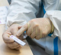 Статистика по коронавирусу за сутки: в Тульской области 242 случая заболевания и 11 смертей