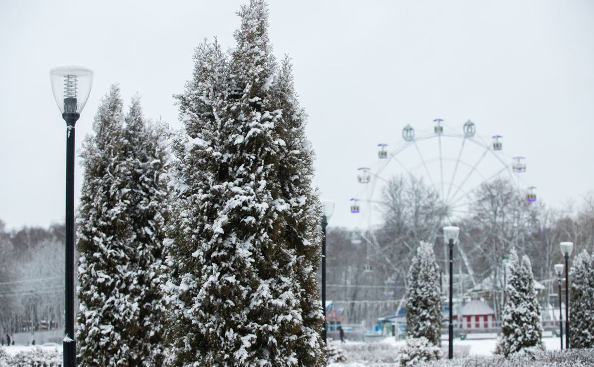 Погода в Туле 16 декабря: небольшой снег и до -8