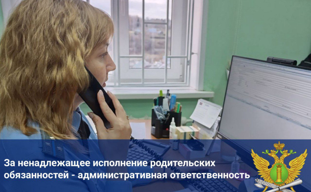 Тулячка задолжала по алиментам своим 6 детям больше миллиона рублей