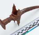 Археологи музея-заповедника «Куликово поле» нашли уникальное оружие Смутного времени