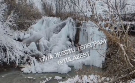 Жизнь Тулы и области