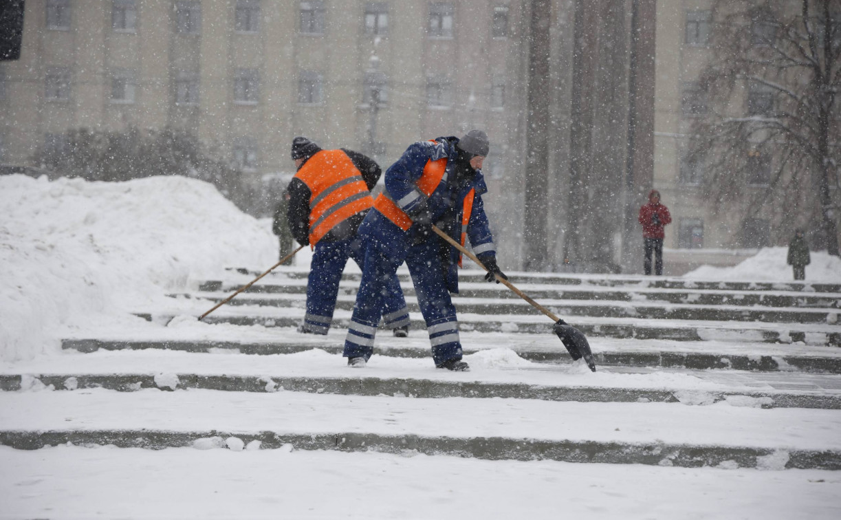 Погода в Туле 28 января: морозно и снежно