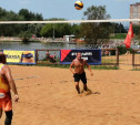 Ветераны тульского волейбола бросили вызов летней жаре