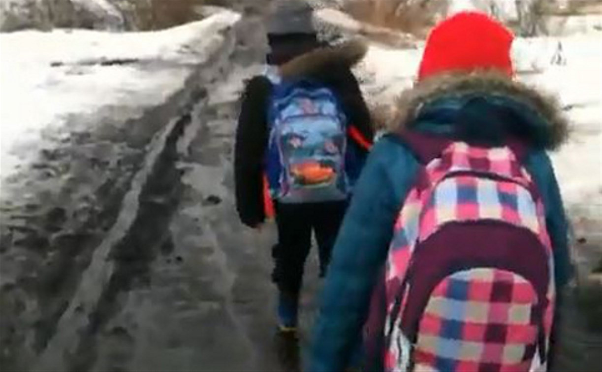 Под Тулой дети пешком ходят в школу 6 км через поле