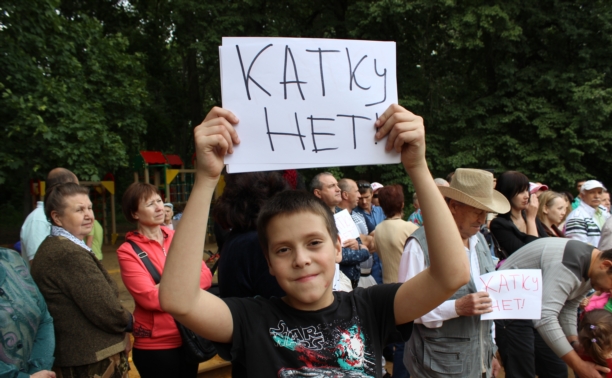 Более 150 туляков вышли на митинг в Рогожинском парке