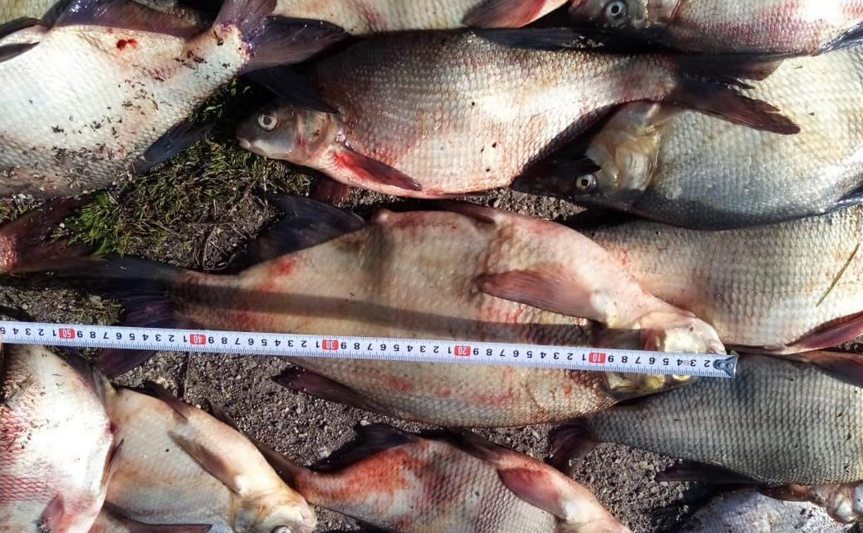 Двух жителей Дубны осудят за незаконную рыбалку 