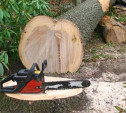 В Тульской области мужчину убило спиленным деревом