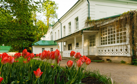 Культура