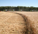 В Тульской области не обрабатывается 29% земель сельхозназначения