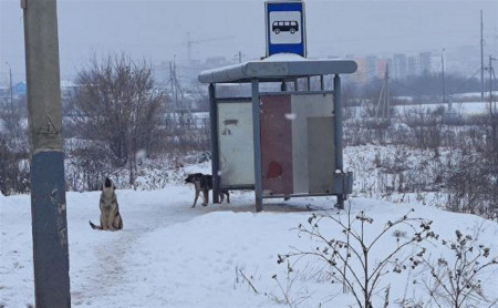 Жизнь Тулы и области