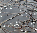 Погода в Туле 18 апреля: дождь, ветер и небольшое похолодание
