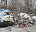 За неделю с тульских стихийных свалок вывезли более 2000 кубометров мусора