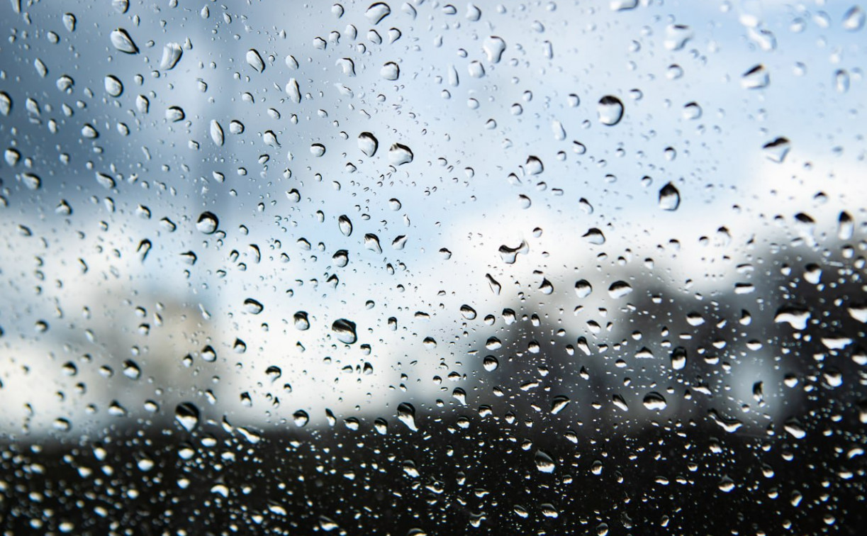 Погода в Туле 12 ноября: дождливо и ветрено