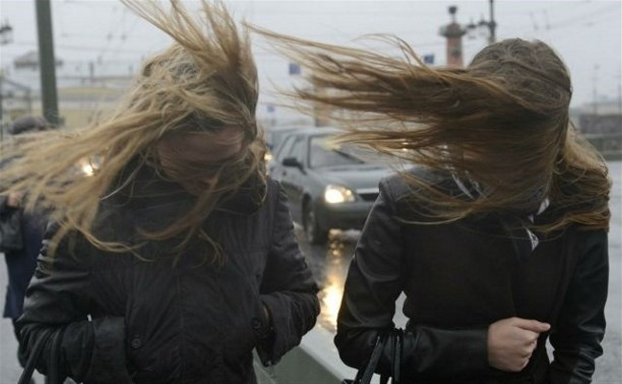 МЧС: 11 апреля в Тульской области ожидается порывистый ветер