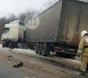 В лобовом ДТП с фурой в Щекинском районе погиб водитель легковушки