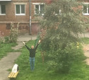 Туляк полчаса «вызывал дождь» во дворе дома на ул. Ф. Энгельса
