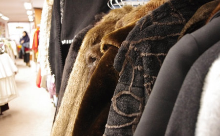 Жизнь Тулы и области