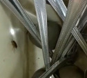 «Здравствуйте, дорогой друг таракан!»: дети сняли на видео насекомых в столовой тульской школы