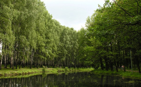 Жизнь Тулы и области