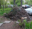 И так сойдет: ветки с улицы Полюсной в Туле убрали не до конца 