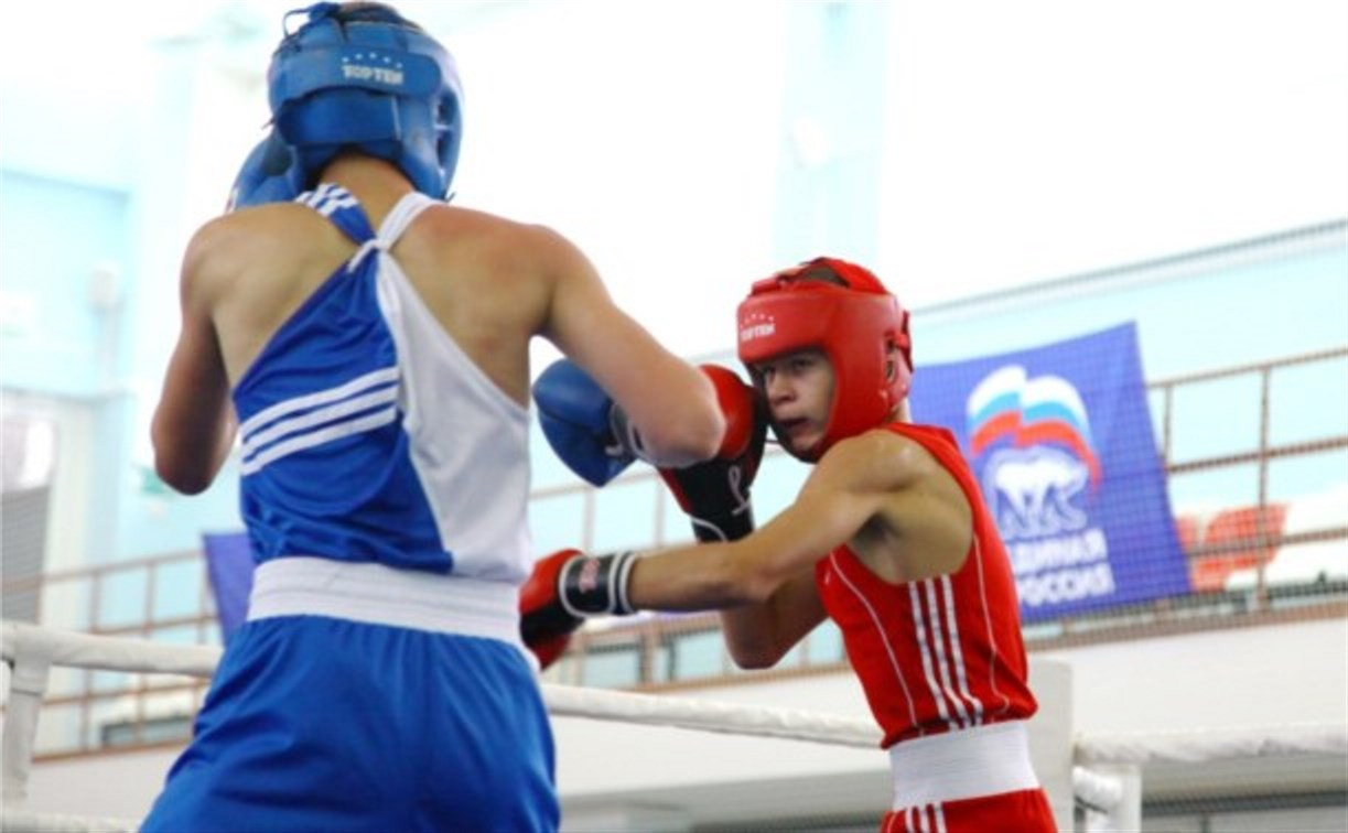 В Туле откроются центры бокса и художественной гимнастики