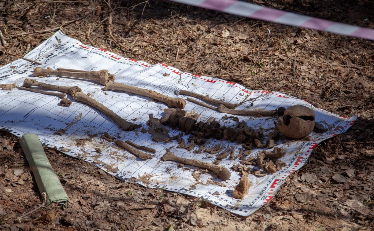 Массовое захоронение солдат в Тульской области: найдены останки 40 бойцов