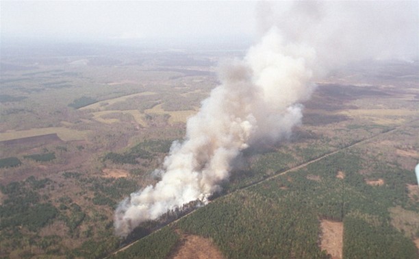 Контролировать лесопожарную обстановку в Тульской области будут при помощи беспилотного летательного аппарата