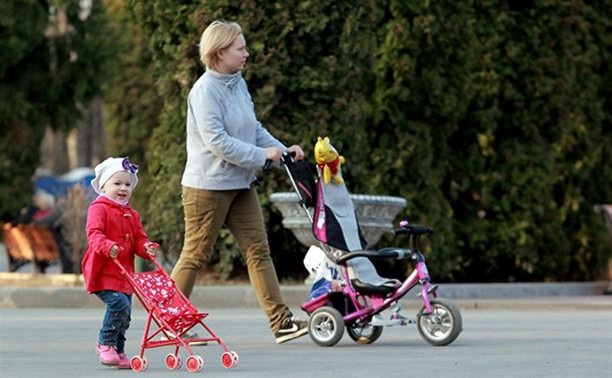 Владимир Груздев и депутаты Облдумы обсудят помощь матерям-одиночкам