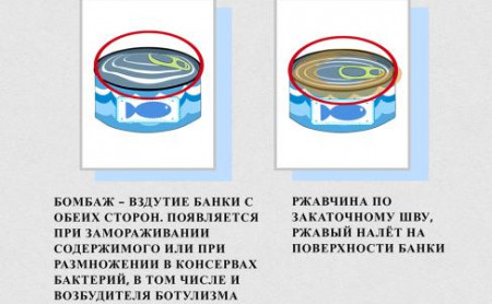 Жизнь Тулы и области