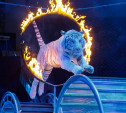Тульский цирк в феврале посетят 800 детей, находящихся в трудной жизненной ситуации