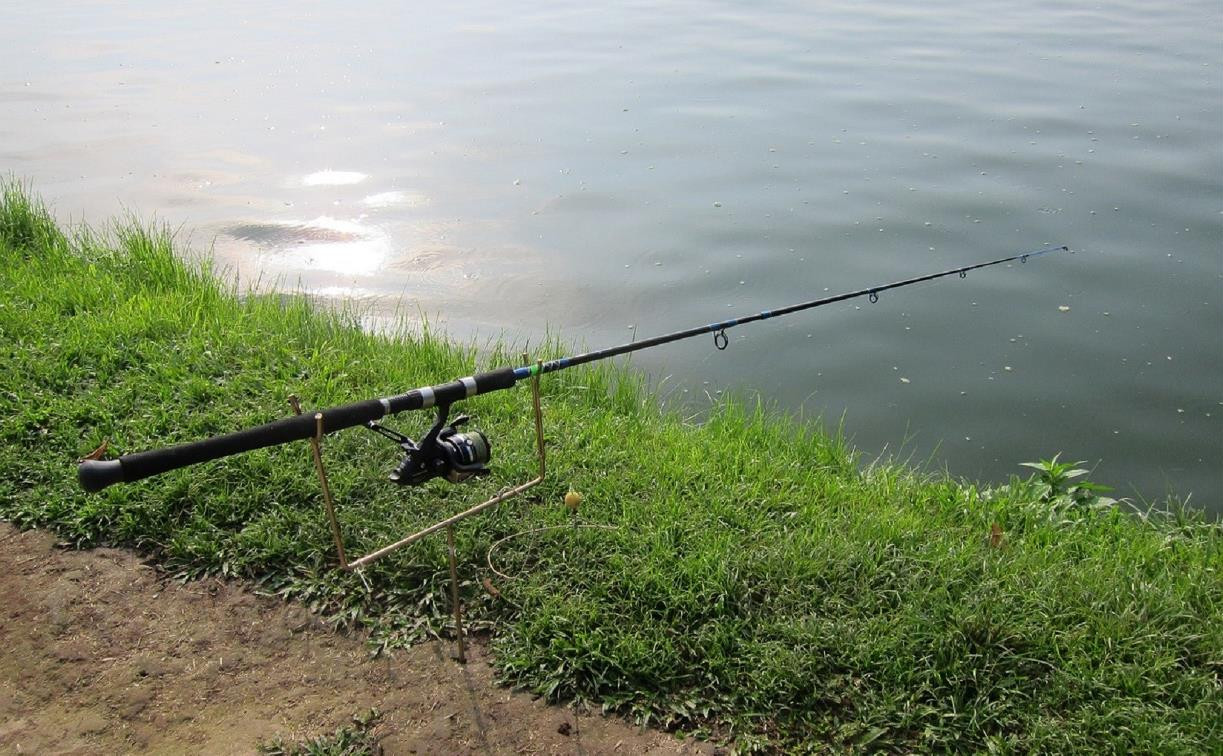 Пошли рыбачить и пропали: Алексинском районе ищут двух военнослужащих